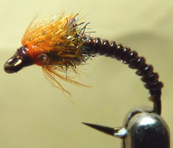 Brown Buzzer