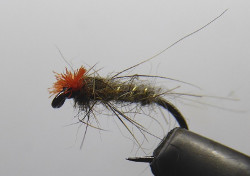 Hares Ear Buzzer