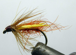 Orange Dry