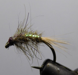 Peach Hares Ear