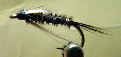 Sparse Black Pheasant Tail