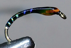 Black Buzzer