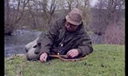 Fly Fishing and River Bank Entomology P1, Malcolm Greenhalgh  Green2