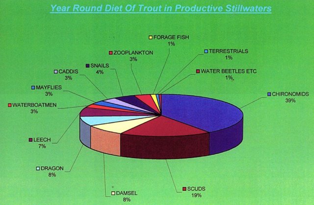 Trout Food